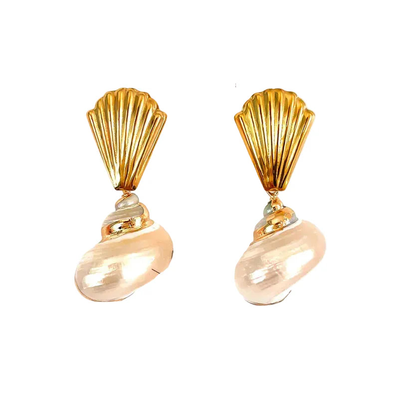 Seashell glow