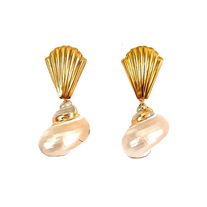 Seashell glow